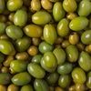 greenoliv
